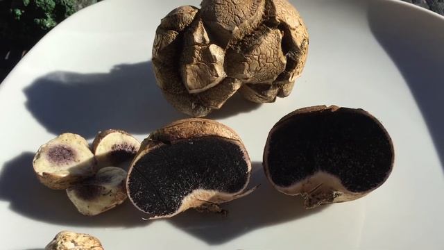 Белый трюфель или)))... смотреть онлайн