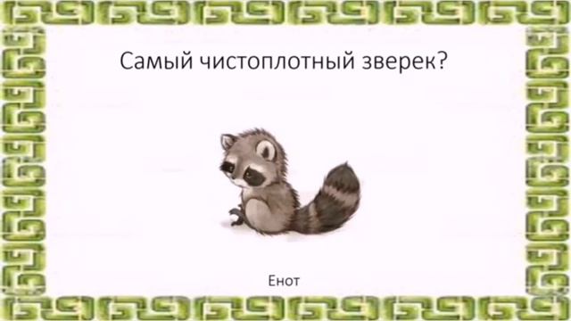 Экобатл "Знатоки природы" смотреть онлайн