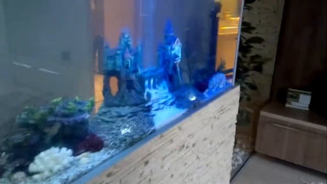 Аквариум Бишкек Аква стиль 0553881885 сайт: aquastyle.nethouse.ru смотреть онлайн