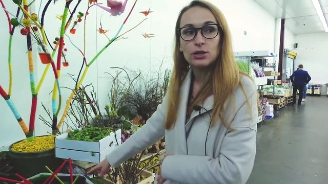 Ароматная стапелия, суккуленты, стабилизированный мох и другие новинки в компании 7ЦВЕТОВ смотреть онлайн