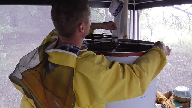 Откачиваю гречишный мед. Пчела Карника. Кочевка 2017г. смотреть онлайн