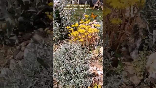альпийская горка из кучи глины смотреть онлайн