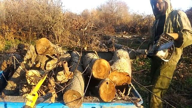 Заготовка дров мотоблоком и бензопилой P.I.T. 20кубов за два дня смотреть онлайн