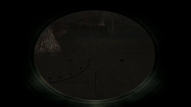 S.T.A.L.K.E.R: Тень Чернобыля [HD 1080p] - Янтарь (ч.13) смотреть онлайн
