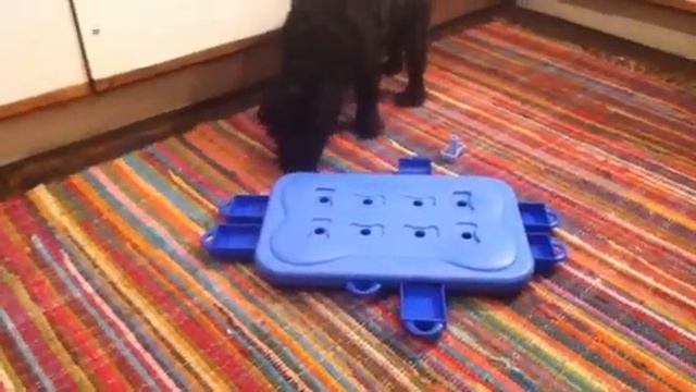 Amos plays with a Nina Ottoson Dog Casino смотреть онлайн