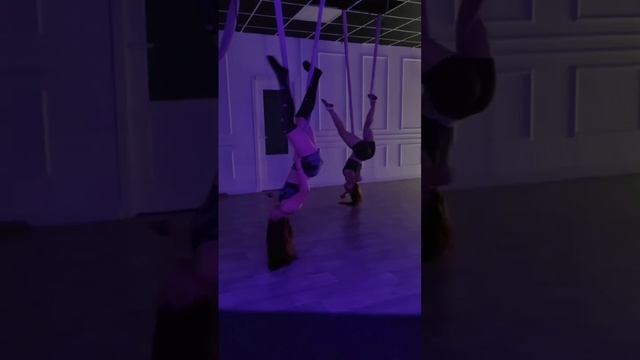 Шапито ✨ смотреть онлайн