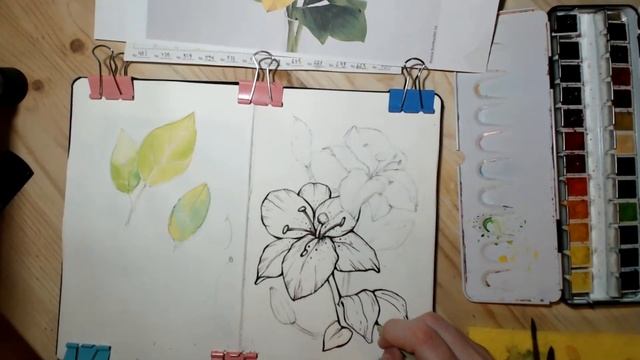 Открытый урок - Рисуем желтые лилии / КИСТИ&КРАСКИ смотреть онлайн