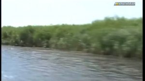 На Кубани начал действовать весенний запрет на рыбную ловлю