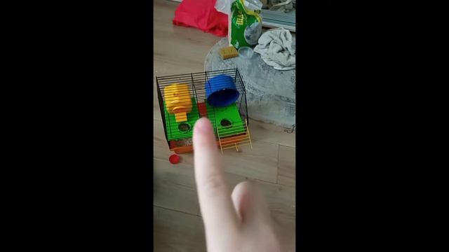 Как я ухаживаю за своим хомяком смотреть онлайн