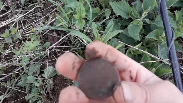 поиск монет металлоискателем /день империи копаем на огороде смотреть онлайн