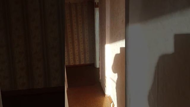 Фрязино. Однокомнатная квартира на продаже. смотреть онлайн