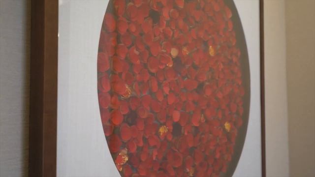 Номера стихии огня смотреть онлайн