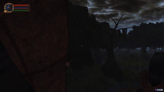 Reimagining Morrowind - Striders On The Storm / OpenMW 2021 1440p RTX 3070 смотреть онлайн