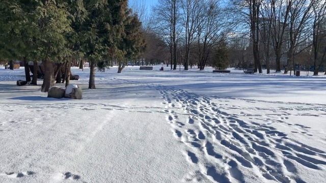 Остров Канта | Кафедральный собор | Рыбная деревня - гуляю по туристическим местам Калининграда