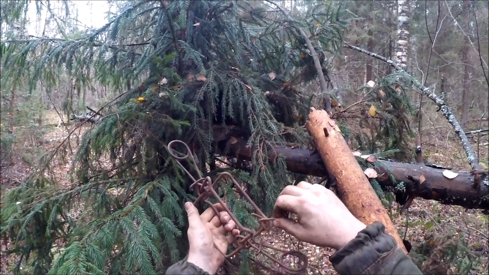 Открытие охоты на куницу 2022 (Будни охотника и рыбака) смотреть онлайн