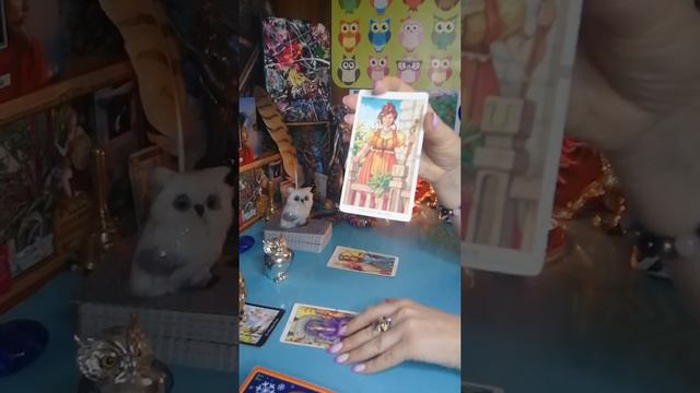 Какие благоприятные события спешат в вашу жизнь? Загадываем сову! 🦉🦉🦉❤️❤️❤️ смотреть онлайн