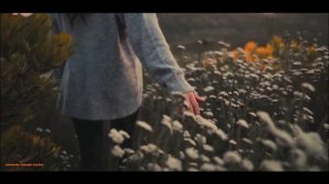 Сергей Орлов Там Где Ты