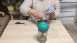 как посеять цинерарию серебристую супербыстрый способ