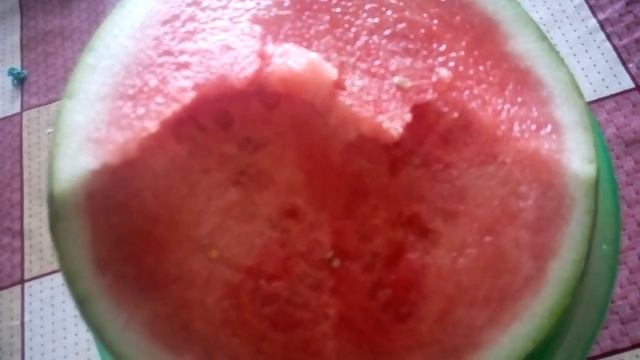 Арбуз без косточек, какой это сорт? смотреть онлайн