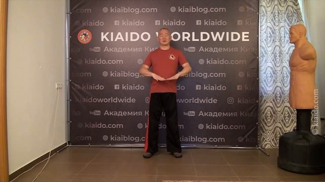 Как разные практики помогают освоить Дыхание. | Академия Киайдо | Гранд Мастер Сонг Парк смотреть онлайн