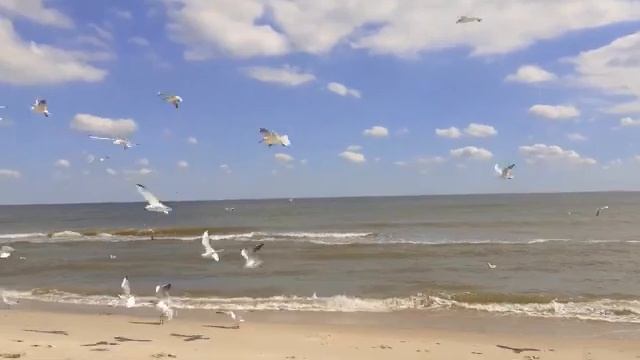 зарисовка: "Чайки и море" #инструментальная_музыка #море #романтика #чайки #музыка #лето смотреть онлайн