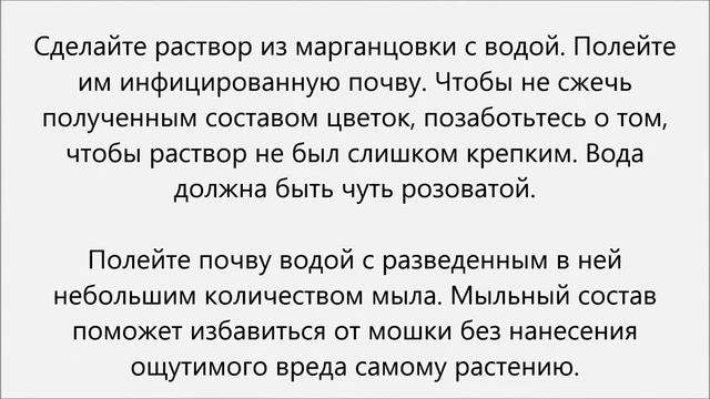 Как избавиться от цветочных мошек смотреть онлайн