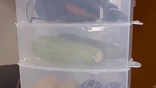 Креативные Лайфхаки для дома удивят кухонные аксессуары Умные Девайсы для Дома Необычные Девайсы смотреть онлайн