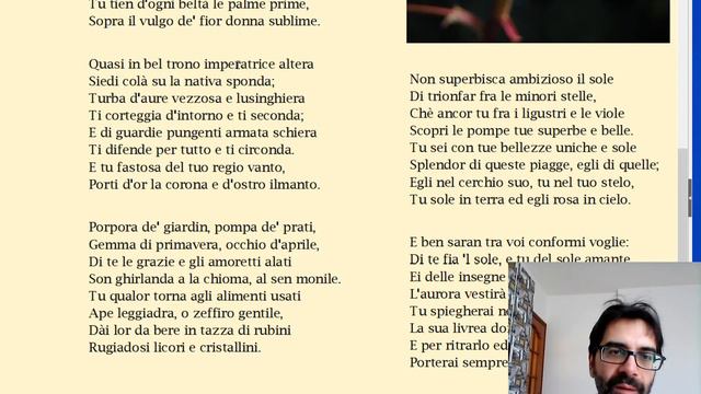 Giovan Battista Marino: Elogio della rosa nell'Adone (spiegazione) смотреть онлайн