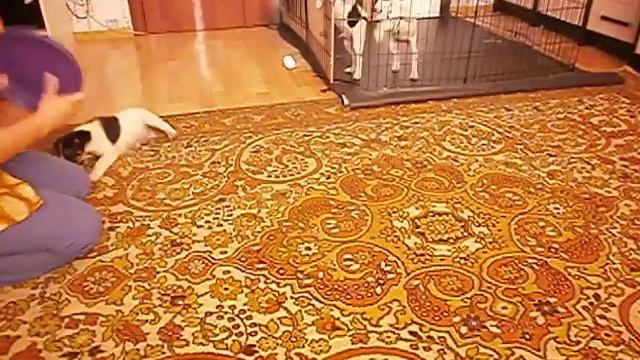 Хьюстон и фризби смотреть онлайн