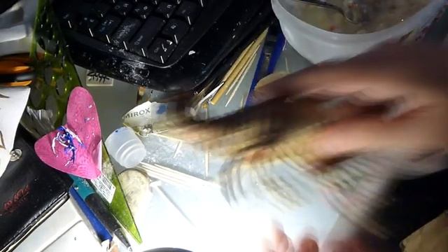 Морской конек из папье-маше (заготовка) смотреть онлайн