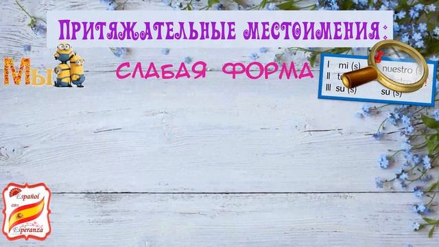 110. Как сказать "моя кошка", "ваши проблемы" + упражнение с ответами. Уровень А1-А2. смотреть онлайн
