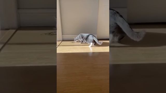 Добытчик идет!! Расступись!!