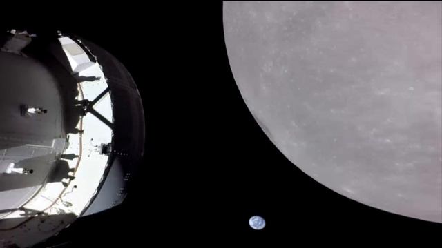 Rare photos #rare #werewolf #goldfish @ATF смотреть онлайн