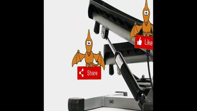 Sunny Health & Fitness Twist Stepper On Amazon | Latest Gadgets On 2020