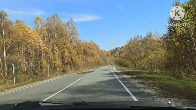 Алтай. Дорога на оз. Телецкое смотреть онлайн