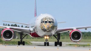 Шереметьево, Лесная рулёжная магистраль "D"