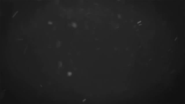 STEALTH ft VINZ - Real Life (HELLBANIANZ) смотреть онлайн