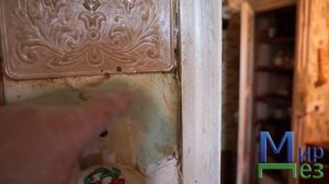 МирДез, уничтожение бельевых вшей (2018г) 12