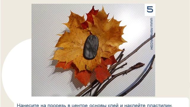 Мастер класс - Поделка - Дары осеннего леса. смотреть онлайн