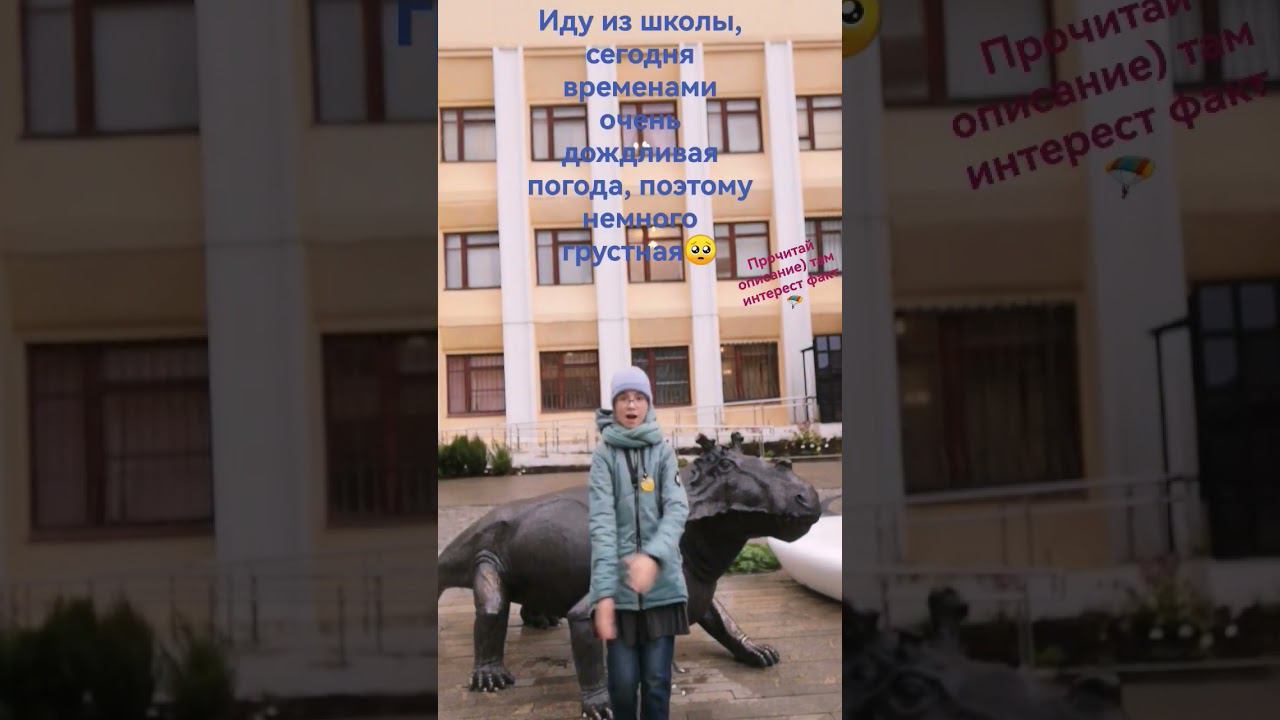 люблю тебя #подпишисьзайка #shortsvideo #давайтеврек #love #тутбылдельфин) смотреть онлайн