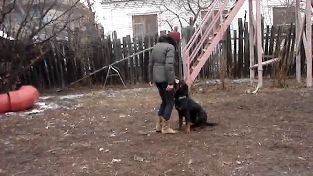 Апортировка (начальное обучение) смотреть онлайн