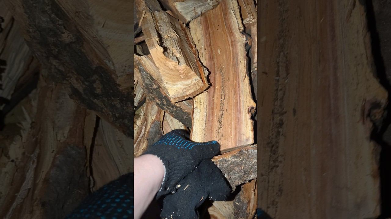 немного дров для шашлыка #shorts смотреть онлайн