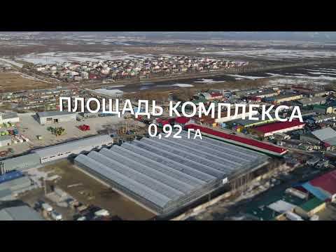 В "Тепличном" сдан в эксплуатацию комплекс для выращивания рассады смотреть онлайн