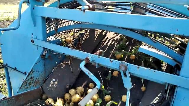 НАЧАЛО УБОРКИ КАРТОФЕЛЯ 2020г. смотреть онлайн