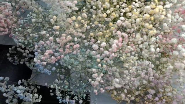 ВАШИ ЗАКАЗЫ ГИПСОФИЛА. БУКЕТ С ГИПСОФИЛАМИ. смотреть онлайн