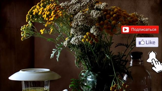 5 ЭФФЕКТИВНЫХ НАСТОЕК ОТ ОСТЕОХОНДРОЗА КОТОРЫЕ ВЫЛЕЧАТ ВАС... смотреть онлайн