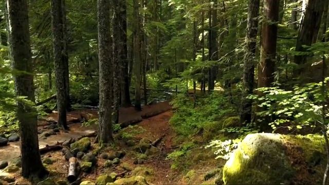 Гарри Поттер и Философский камень. смотреть онлайн