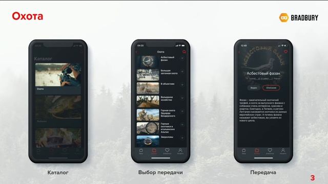 ТВ2025 | Мобильные приложения телеканалов
