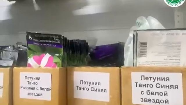 Семена цветов! ОГРОМНЫЙ АССОРТИМЕНТ! смотреть онлайн