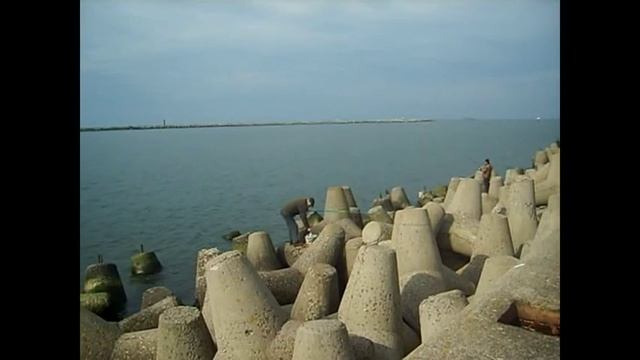 Ловля салаки в Балтийске. 28 марта 2016 г. смотреть онлайн